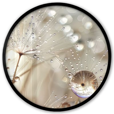 Poster in lijst Rond - Fotolijst 40x40 cm - Posters - Natuur - Bloemen - Druppels - Regen - Ronde posterlijst zwart - Decoratie - Wanddecoratie woonkamer - Muurdecoratie slaapkamer