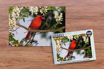 Puzzel Rode kardinaal tussen de witte bloemen - Legpuzzel - Puzzel 500 stukjes