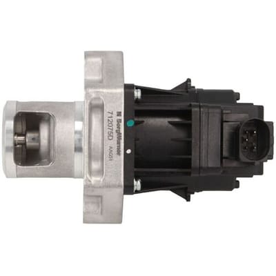 Borg Warner EGR-klep WAHLER 712075D