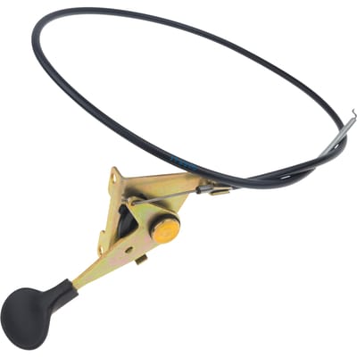 Control throt flag
