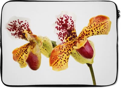 Laptophoes 14 inch - Oranje Orchidee - Laptop sleeve - Binnenmaat 33x23 cm - Zwarte achterkant