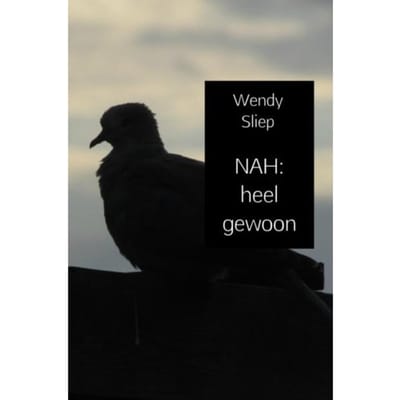 Nah: Heel Gewoon - Wendy Sliep
