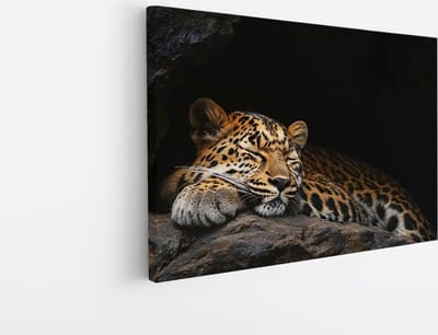 Saammp Canvas Schilderij - Slapende Luipaard - Schattig - Natuur - Dieren - 45x30 - Foto op canvas - Wanddecoratie - Muurdecoratie Woonkamer - Slaapkamer decoratie - Canvas Print