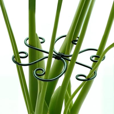 4 stuks groene ijzeren Monstera-steunen - uniek ontworpen plantensteunen voor kamerplanten - stabiele plantensteunen - schildpadvormige bamboe klemset voor een bloeiende groei