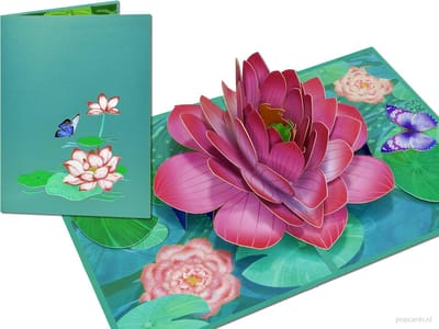 Popcards Pop-up Kaart - Lotusbloem – Symbool van Puurheid & Schoonheid Lotus Wenskaart 3D kaart