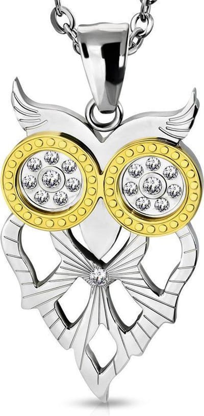 Amanto Ketting Birkan G - 316L Staal PVD - Uil - 40x24mm - 50cm