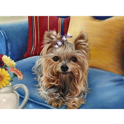 Kruissteek DIY diamant borduurwerk mooie puppy volledige ronde Diamond schilderij mozaïek Home Decor 20X30CM beige