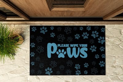 Coloray Buiten Deurmat - Blauw Deurmat Buiten - Veeg je poten af Deurmat Tegen Modder En Vuil - Buiten Decoratie Idee - Vuilvangmat Voor Nat Weer - Modieuze Buitenmat Met Design - 90x60 cm