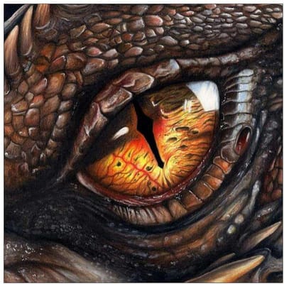 Couture diamant broderie yeux de Dragon 5D diamant peinture mosaïque photo à la main décor à la maison 50X70CM