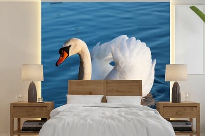 Behang - Fotobehang Zwaan - Water - Vogel - Wit - Breedte 280 cm x hoogte 280 cm
