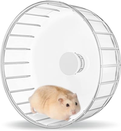 Stil Hamsterloopwiel 15 cm Transparant voor Kleine Knaagdieren