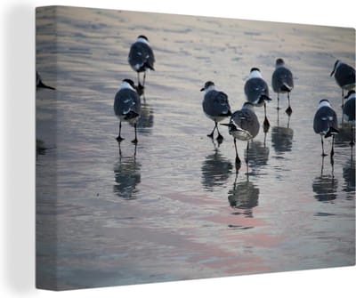 Canvas Schilderij Meeuw - Water - Vogel - 90x60 cm - Wanddecoratie