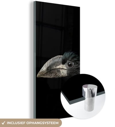 MuchoWow - Glasschilderij - Foto op glas - Acrylglas - Neushoornvogel - Dier - Snavel - Zwart wit - Vogel - 60x120 cm - Schilderij glas - Glasschilderij vogels - Glasschilderij zwart wit