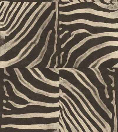Rasch Pop Skin Behang Zebra