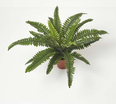 Homescapes kunstplant Nephrolepis Exaltata, kunstzwaardvaren in pot, 45 cm hoog