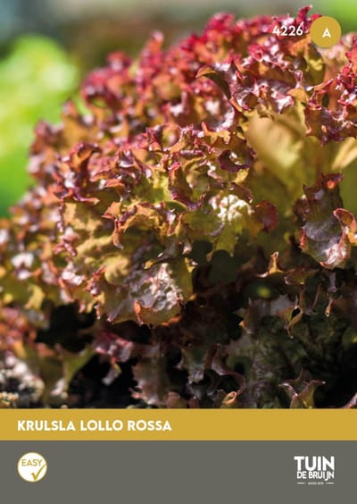 Tuin de Bruijn® zaden - Sla Lollo Rossa
