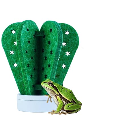 Luchtbevochtiger Reptielen - Terrarium Bevochtiger - Natuurlijke Vochtigheid - Zonder Stroom - 15 x 15 x 10 cm - Hartvormige Cactus