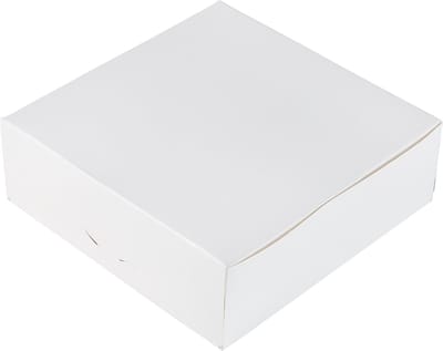 BrandNewCake® Taartdoos - 15x15x5 cm - Taartdoos Karton - Cakedoos - 3 Stuks - Wit
