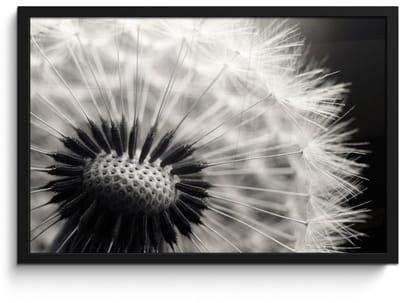 Poster in lijst - Fotolijst 60x40 cm - Posters - Paardenbloem - Zwart - Wit - Posterlijst zwart - Decoratie - Wanddecoratie woonkamer - Muurdecoratie slaapkamer