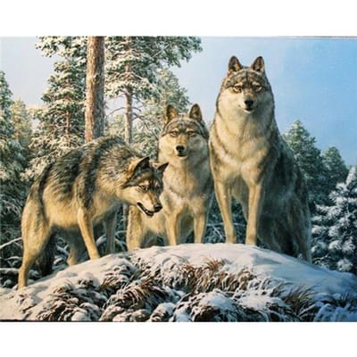 5D Diy Diamant Schilderen Wolf paar Dier Foto van Steentjes Diamant Borduren 20X30CM