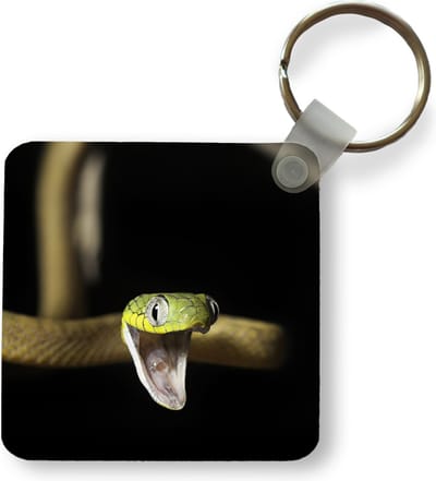 Sleutelhanger - Uitdeelcadeautjes - Slang - Groen - Geel - Plastic