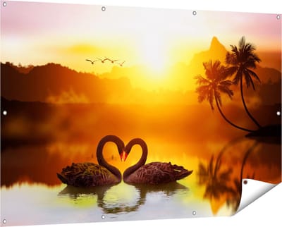 Gards Tuinposter Twee Zwarte Zwanen in een Hart Vorm - 150x100 cm - Tuindoek - Tuindecoratie - Wanddecoratie buiten - Tuinschilderij