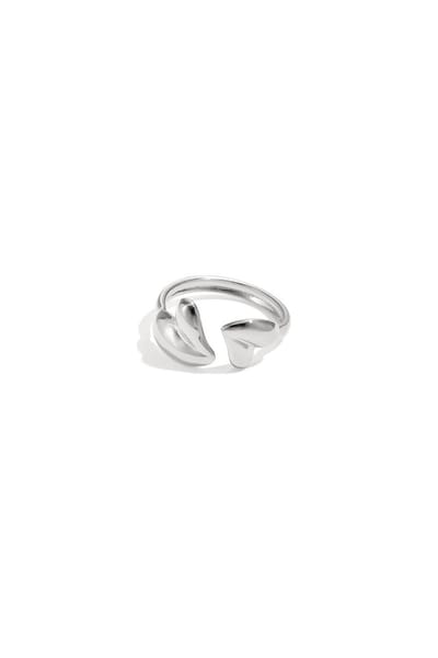 Bijoutheek Ring (Sieraad) 2 Hartjes Zilverkleurig