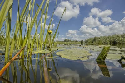 Fotobehang Riviertje de Meije Woerdense Verlaat 250 x 260 cm - € 175,--