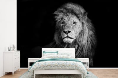 Behang - Fotobehang Wilde dieren - Leeuw - zwart - Wit - Breedte 360 cm x hoogte 240 cm