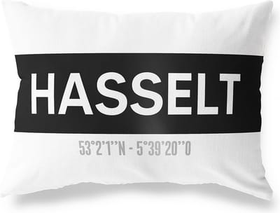Tuinkussen HASSELT - OVERIJSSEL met coördinaten - Buitenkussen - Bootkussen - Weerbestendig - Jouw Plaats - Studio216 - Modern - Zwart-Wit - 50x30cm