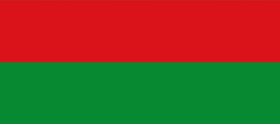 Vlag Bilzen 100x150cm