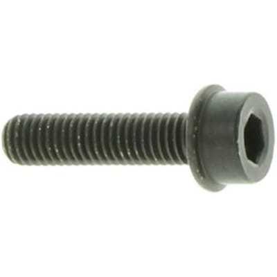 Screw