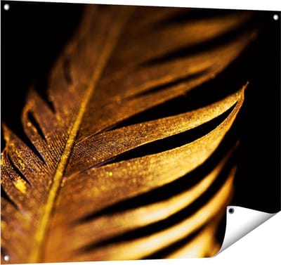 Gards Tuinposter Gouden Veer - 100x80 cm - Tuindoek - Tuindecoratie - Wanddecoratie buiten - Tuinschilderij