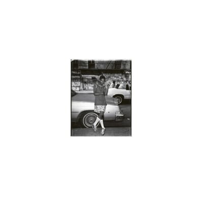 Pieter's New Yorkers - Pieter Vandermeer