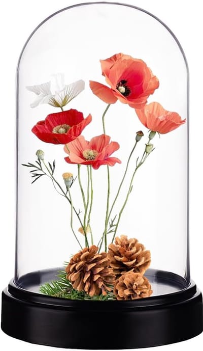 Display Koepel - Glazen Stolp - Decoratie Presentatie - Kristalheldere Acryl - 11.6 x 18.5 cm - Zwart