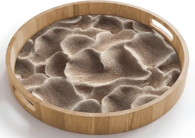 Dienblad rond 40x40 cm - Schootdienblad hout - Waaiervorm - Beige - Vezel textuur - Borrelplank rechthoek - Plateau houten dienbladen