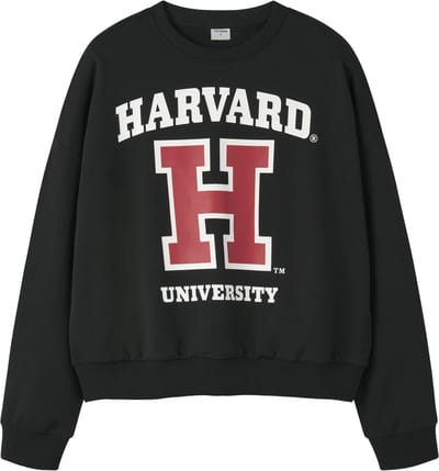 NAME IT - TAFT COLLEGE LO SHO SWE BRU BOX NOOS SKY - Dames - Sweaters