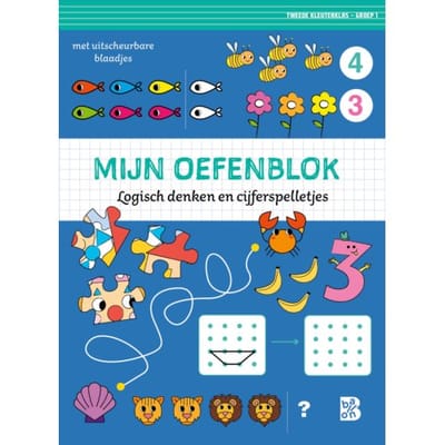 Mijn oefenblok: Logisch denken en cijferspelletjes Educatieve boeken (spelletjes en raadsels)