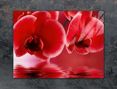 TMK ArtDeko Serie - Glazen Beschermplaat - 70x52cm - Orchidea
