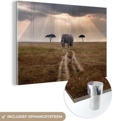 ® Glasschilderij 180x120 cm - Schilderij acrylglas - Olifant in het Masai Mara National Park in Kenia - Foto op glas - Muurdecoratie woonkamer - Wanddecoratie slaapkamer - Schilderijen
