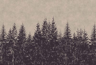 Fotobehang black forest 1 DD110511 Livingwalls Walls by Patel | 3D Fotobehang op maat