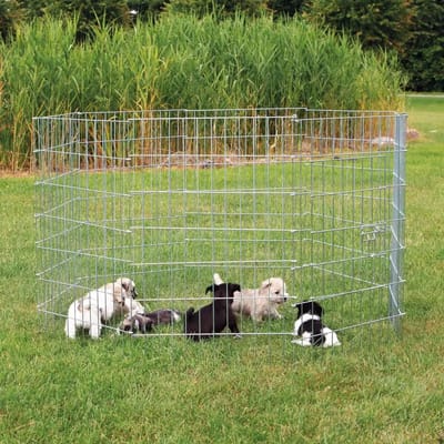 Gegalvaniseerde metalen behuizing voor kleine honden Trixie