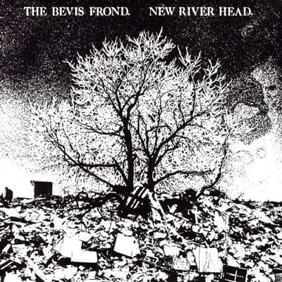 Bevis Frond - New River Head (2 LP)