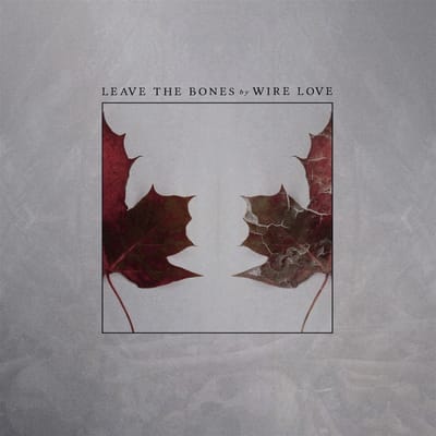 Wire Love - Leave The Bones (LP)