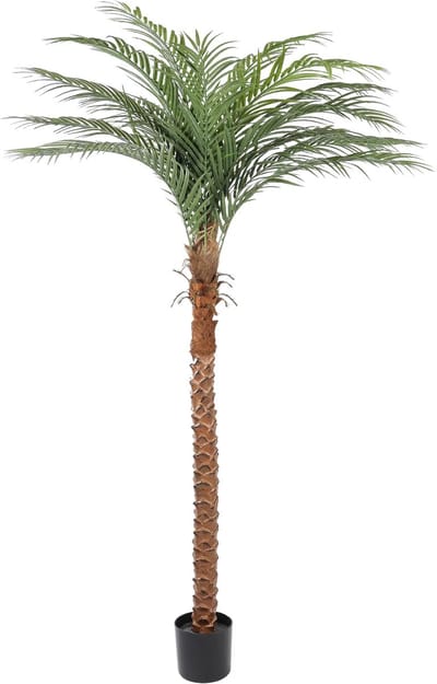 Kunstpalm Cuba – 190 cm – Tropische Palm met Dikke Stam – Kunstplant hoog - Vol bladerdak