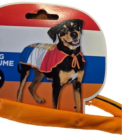 dog costume holland 45cm M