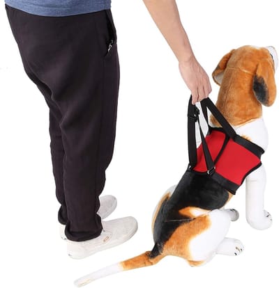 Hondentuig voor Ondersteuning, Loophulp voor Oude of Gewonde Honden met Voor- en Achtersteun, Comfortabel en Duurzaam