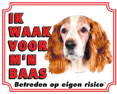 Welsh Springer Spaniel Waakbord - Ik waak voor mijn Baas