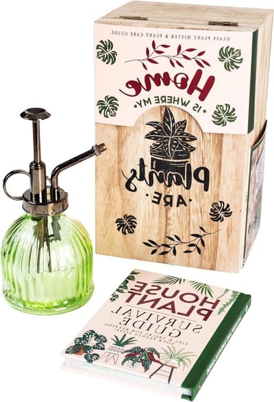 Kamerplant Survival Set - Plantenverzorging Kit - Planten Binnen Houden - Inclusief Glazen Vernevelaar