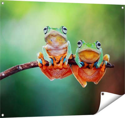 Gards Tuinposter Twee Boomkikkers op een Tak - 100x80 cm - Tuindoek - Tuindecoratie - Wanddecoratie buiten - Tuinschilderij